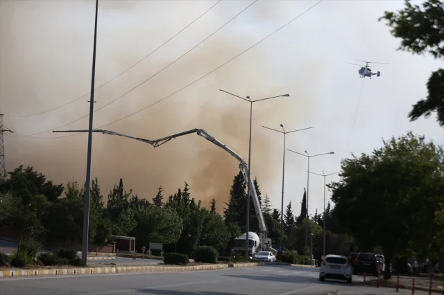 ÇOMÜ'den Çanakkale'deki Orman Yangınına Dair Açıklama