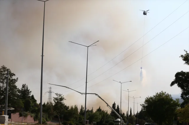 ÇOMÜ'den Çanakkale'deki Orman Yangınına Dair Açıklama