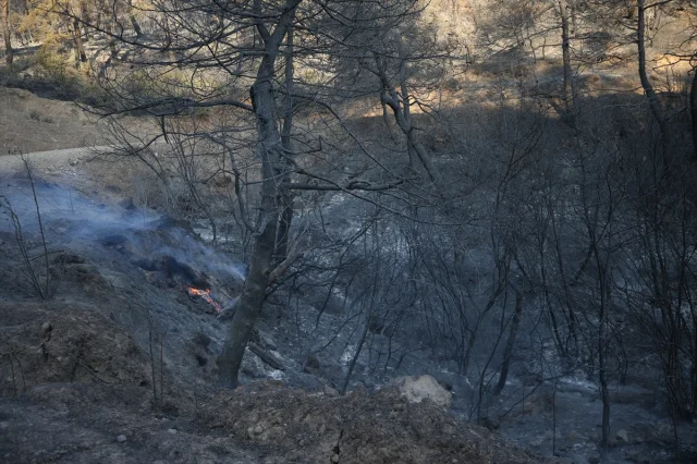 Çanakkale'deki Yangın Söndürme Çalışmaları Aralıksız Devam Ediyor