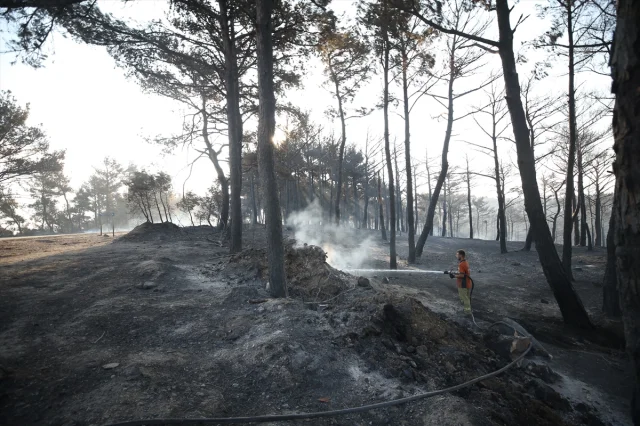 Çanakkale'deki Yangın Söndürme Çalışmaları Aralıksız Devam Ediyor