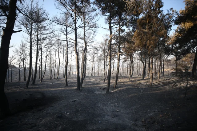 Çanakkale'deki Yangın Söndürme Çalışmaları Aralıksız Devam Ediyor