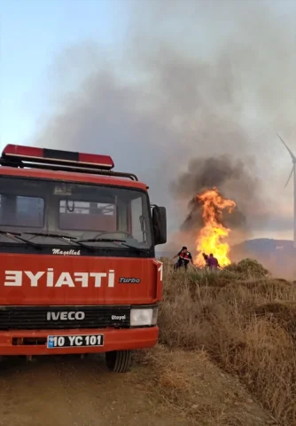 Balıkesir'de Paşalimanı Adası'ndaki Yangın Söndürüldü