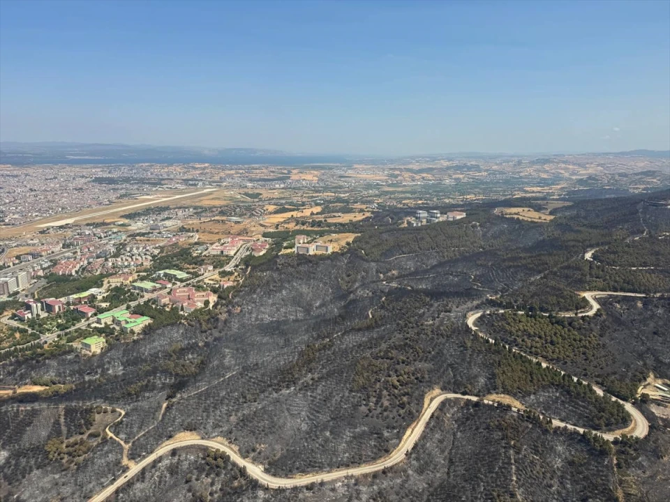Çanakkale'deki Yangının Ardından Ormanlık Alanlar Yeniden Yapılandırılacak
