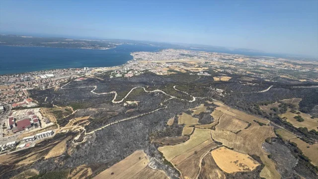 Çanakkale'deki Yangının Ardından Ormanlık Alanlar Yeniden Yapılandırılacak