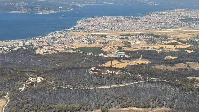 Çanakkale'deki Yangının Ardından Ormanlık Alanlar Yeniden Yapılandırılacak