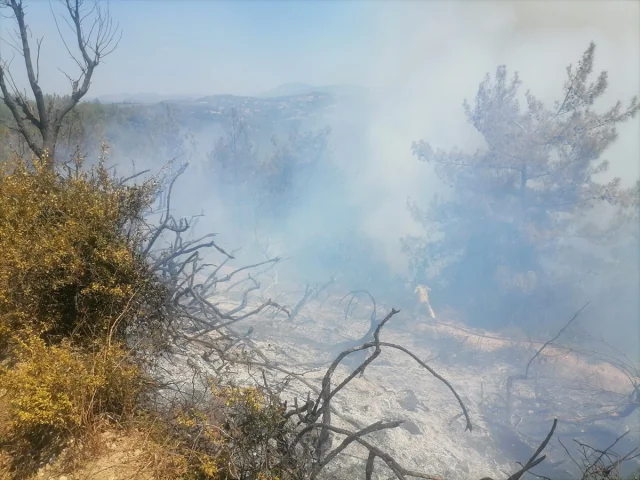 Osmaniye'de Orman Yangını Tehlikesi Önleniyor
