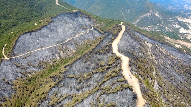 Karabük'teki Büyük Orman Yangını Kontrol Altında: Havadan İlk Görüntüler
