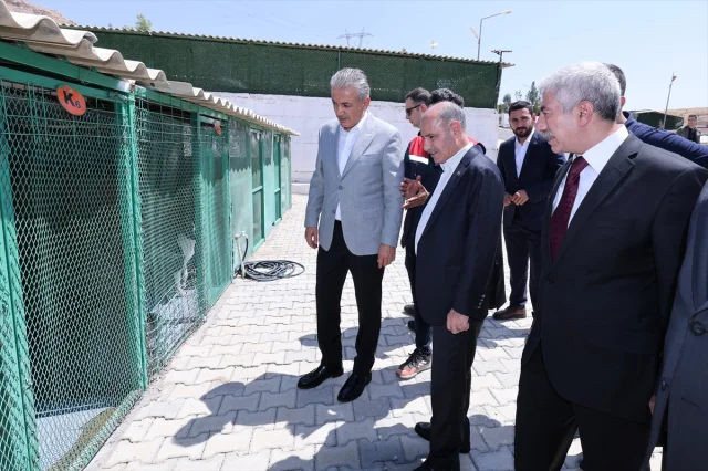 Mehmet Aktaş Mardin'de Hayvan Bakımı İçin İleri Adımlar İnceledi