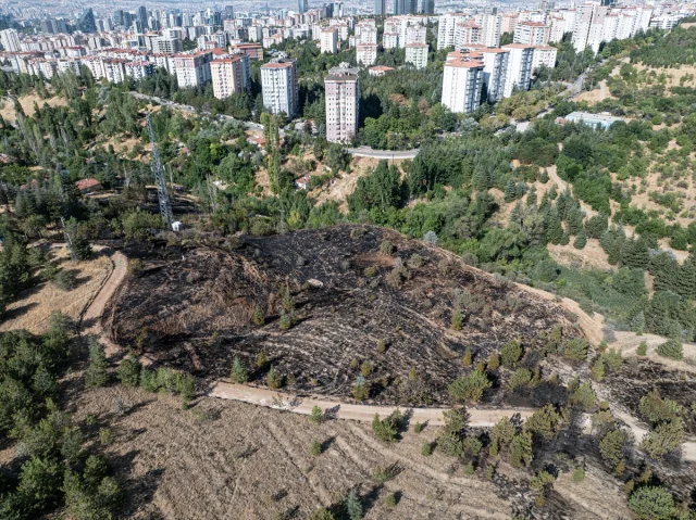 Ankara'da Çalılık Alanda Başlayan Yangın Hızla Söndürüldü
