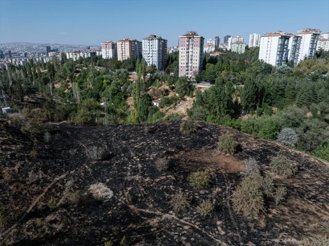 Ankara'da Çalılık Alanda Başlayan Yangın Hızla Söndürüldü