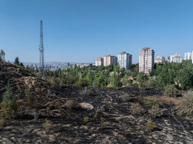 Ankara'da Çalılık Alanda Başlayan Yangın Hızla Söndürüldü