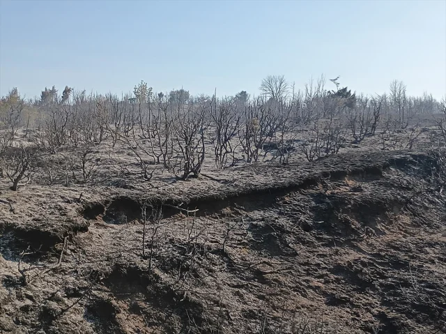 Tekirdağ'da Makilik Yangın Kısa Sürede Kontrol Altına Alındı