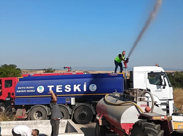 Tekirdağ'da Makilik Yangın Kısa Sürede Kontrol Altına Alındı