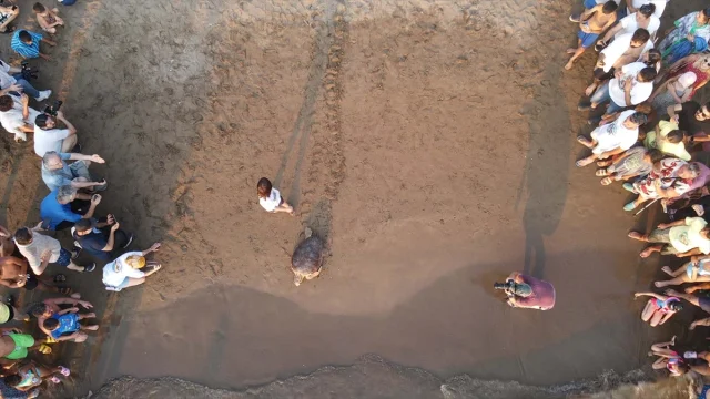 Caretta Caretta "Tuba" Yerli Teknolojiyle İkinci Dünya Turu Yolunda
