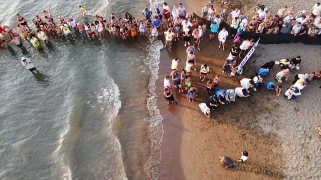 Caretta Caretta "Tuba" Yerli Teknolojiyle İkinci Dünya Turu Yolunda