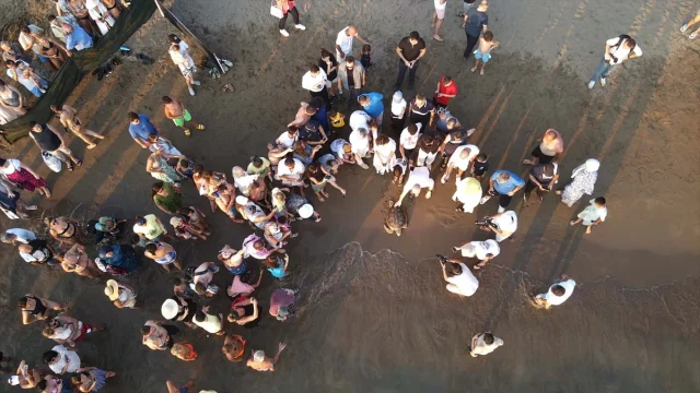 Caretta Caretta "Tuba" Yerli Teknolojiyle İkinci Dünya Turu Yolunda