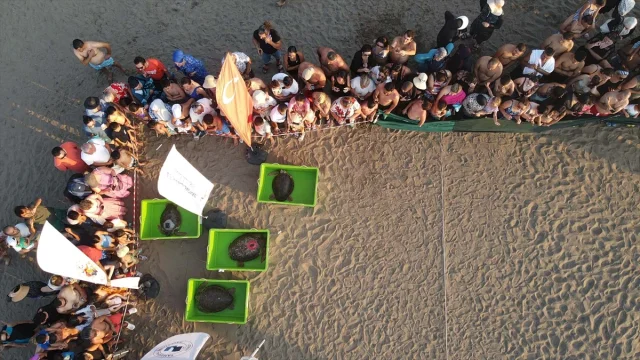 Caretta Caretta "Tuba" Yerli Teknolojiyle İkinci Dünya Turu Yolunda