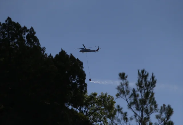 Sinop'un Durağan İlçesinde Orman Yangınına Karşı Büyük Mücad...