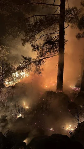 Isparta'da Kovada Gölü Yakınındaki Yangın Kısa Sürede Kontro...