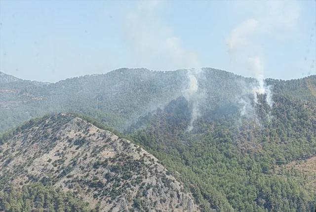 Mersin Orman Yangınına Karşı Yoğun Mücadele Sürüyor