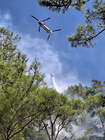 Mersin'de Orman Yangını Krizi Başarıyla Sonlandırıldı