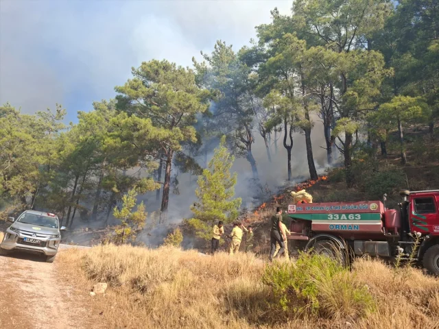 Mersin'de Orman Yangını Krizi Başarıyla Sonlandırıldı
