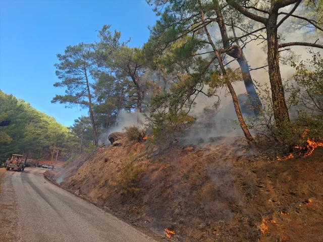 Mersin'de Orman Yangını Krizi Başarıyla Sonlandırıldı