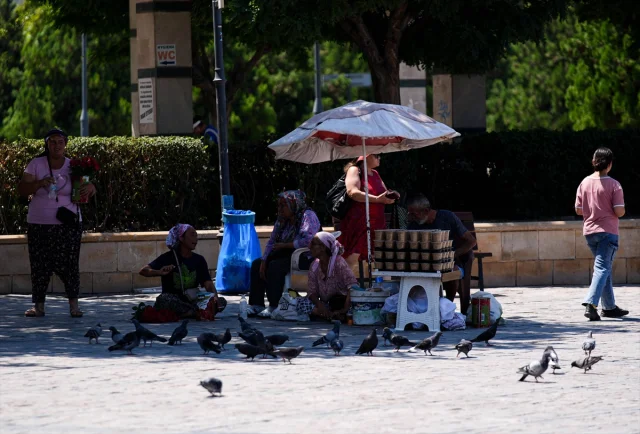 İzmir'de Kavurucu Sıcaklar: Hayat Nasıl Devam Ediyor?