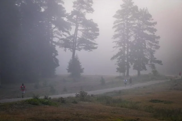 Bolu'nun Eşsiz Doğasında Yarış Heyecanı: Ultra Abant Patika Koşusu Tamamlandı