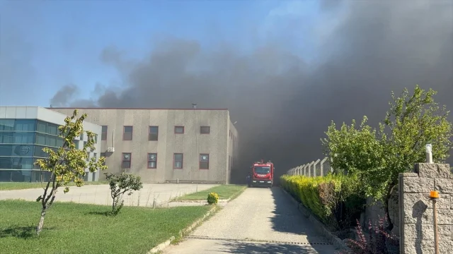 Tekirdağ'da Anız Yangını Fabrikayı Tehdit Ediyor