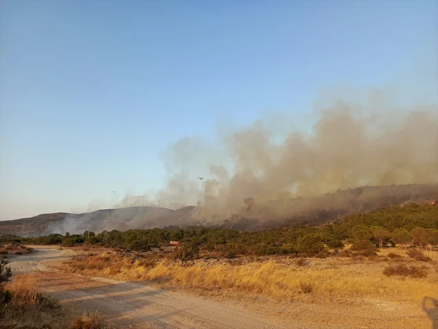 İzmir'de Başlayan Orman Yangını Kontrol Altına Alındı