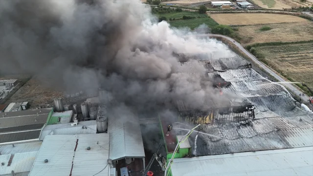 Balıkesir'deki Fabrika Yangını Sonrası Bir Tutuklama