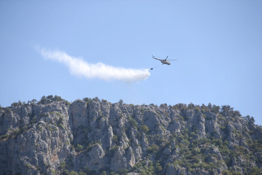 Sinop'taki Orman Yangını Başarıyla Kontrol Altına Alındı