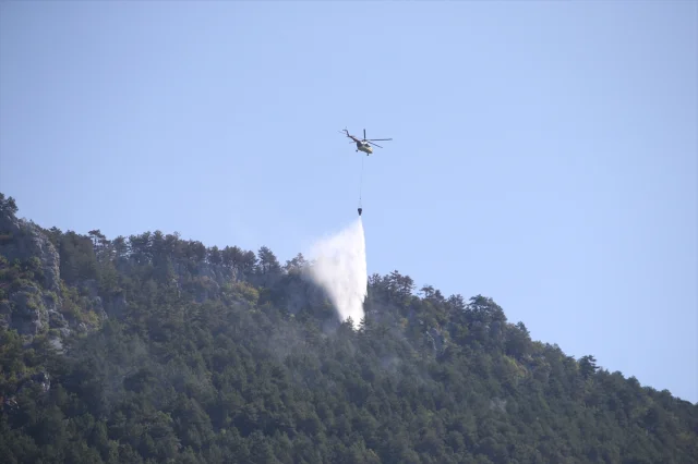 Sinop'taki Orman Yangını Başarıyla Kontrol Altına Alındı