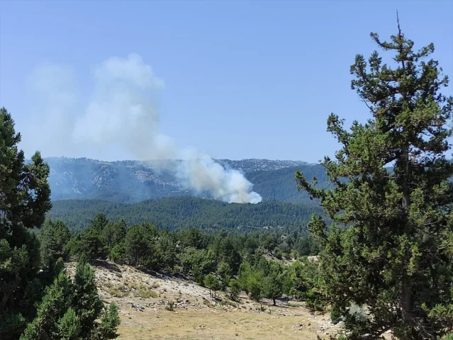 Mersin'in Bozyazı İlçesinde Orman Yangınına Hızlı Müdahale