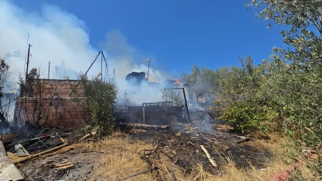 Bursa'nın Mudanya İlçesinde Bağ Evi Yangını Kontrol Altında