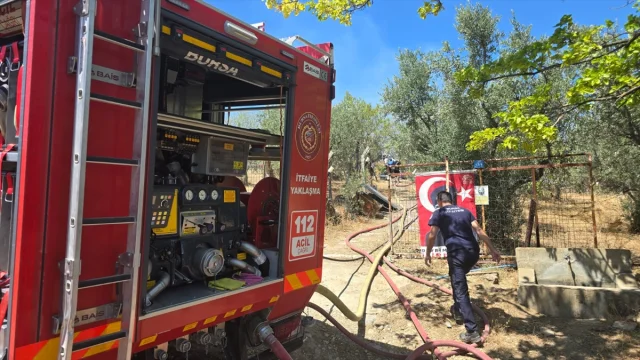Bursa'nın Mudanya İlçesinde Bağ Evi Yangını Kontrol Altında