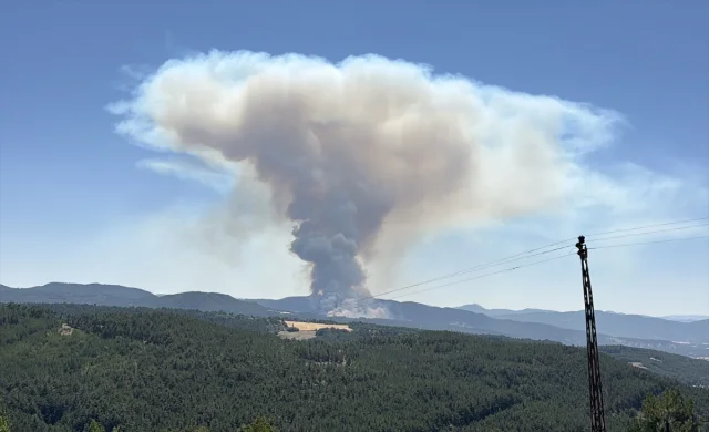 Bolu Ormanları Yanan Alevlerle Mücadele Ediyor