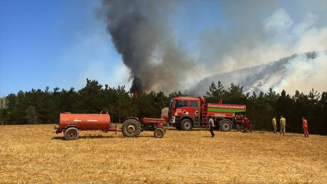 Bolu'da Orman Yangını: Ekiple Seferberlik Sürüyor