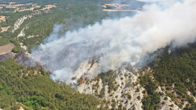 Bolu'da Orman Yangını: Ekiple Seferberlik Sürüyor