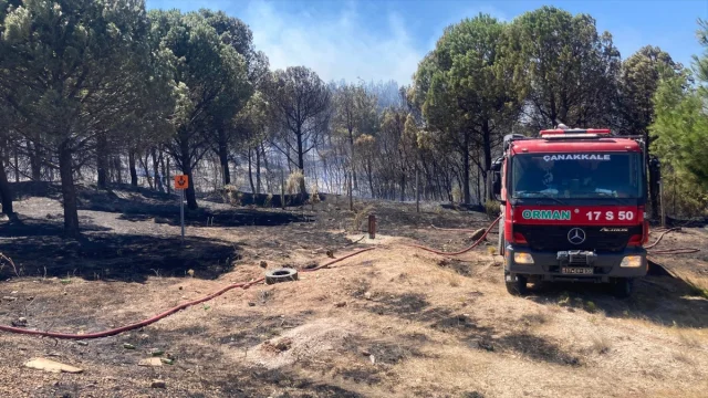 Çanakkale'deki Orman Yangını Kontrol Altına Alınmaya Çalışılıyor