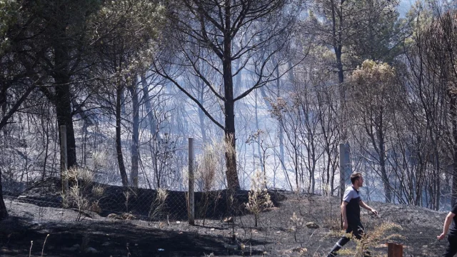 Çanakkale'deki Orman Yangını Kontrol Altına Alınmaya Çalışılıyor
