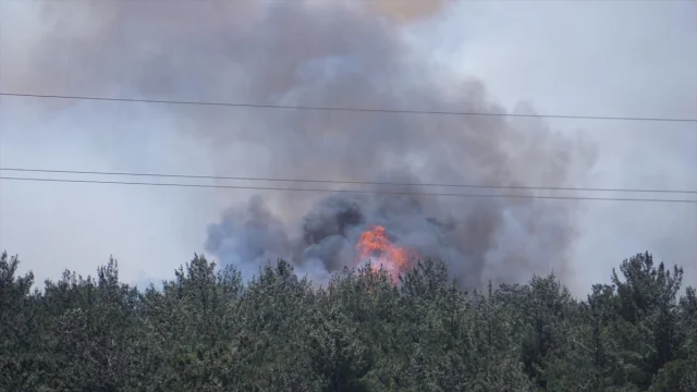 Çanakkale'deki Orman Yangını Kontrol Altına Alınmaya Çalışılıyor