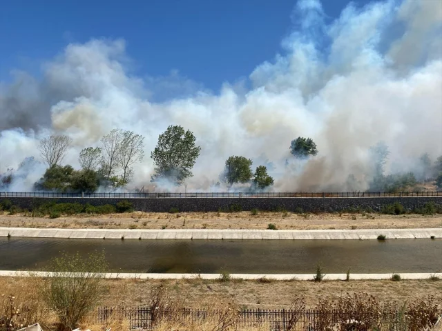 Ayvacık'ta Çöplükte Başlayan Yangın Ormanı Tehdit Ediyor