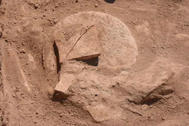 Üçhöyük'te Japon Arkeologlar Geçmişin İzlerini Sürüyor