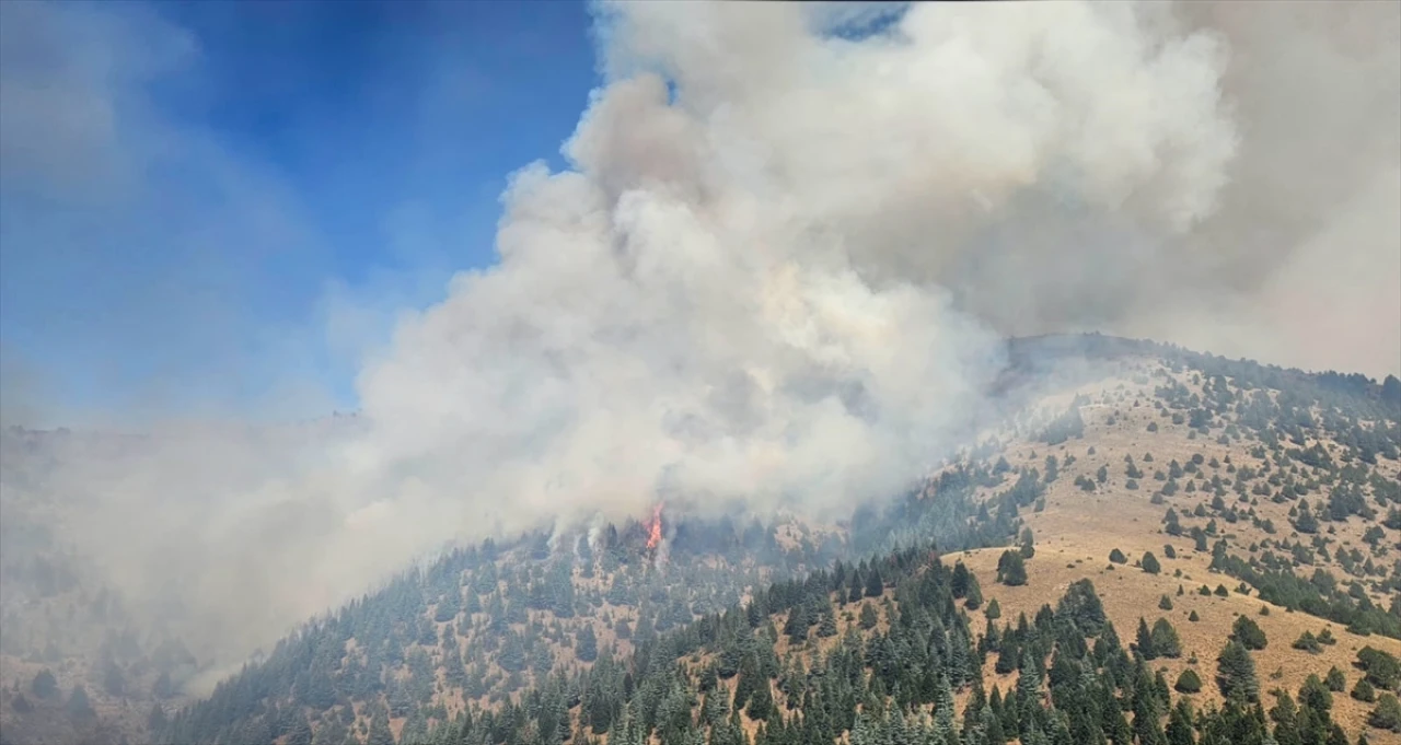 Kahramanmaraş'ta Orman Yangınına Karşı Yoğun Müdahale Devam Ediyor