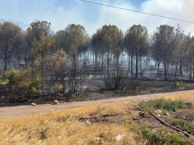 Soma Orman Yangınıyla Mücadelede Yoğun Çaba