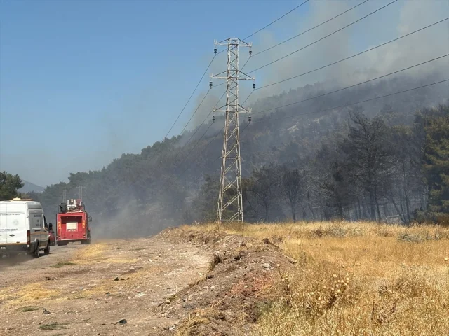 Soma Orman Yangınıyla Mücadelede Yoğun Çaba