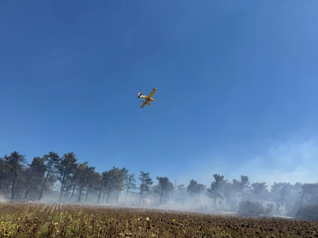 Çanakkale'de Orman Yangını Mücadelesi Devam Ediyor