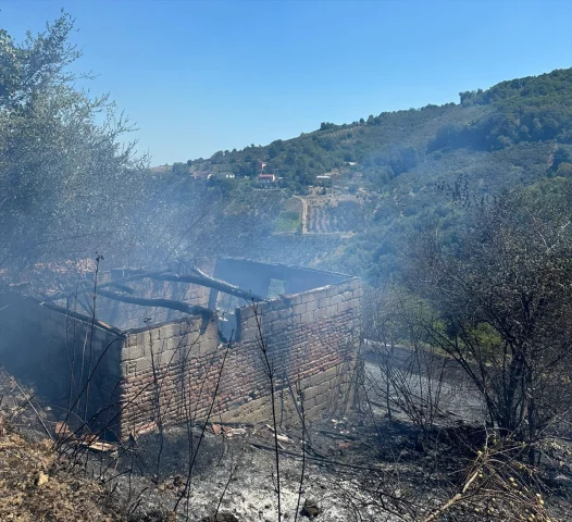 Samsun'da Fındık Bahçesindeki Yangın Hızla Kontrol Altına Al...